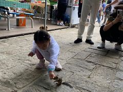 -五营红松林海景区