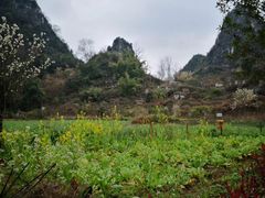 -高荡千年布依古寨旅游景区