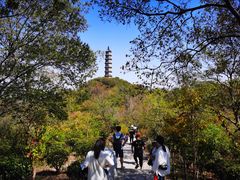 -巢湖姥山岛