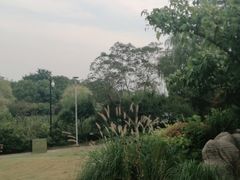 -青枫公园
