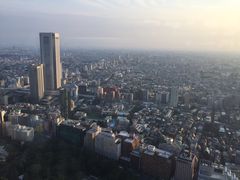 -东京都厅舍