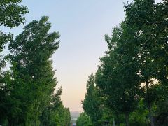 -樱桃沟景区