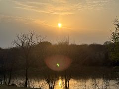 -盘龙城国家考古遗址公园