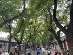 -北京国子监胡同