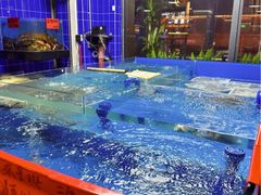 -明本湛江鸡•海鲜小厨(陈家祠店)