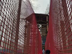 -黄海国家森林公园