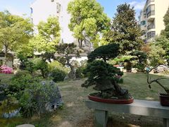 -上海醉白池公园