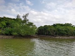 -东寨港红树林旅游区