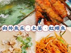 -向外鱼乐·土菜·虹鳟鱼