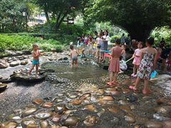 -成都市活水公园