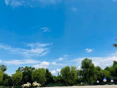 -长春世界雕塑园冰雪艺术天地