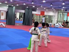 -陈中跆拳道(中关村馆)