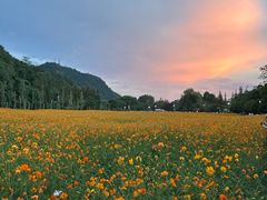 -贵阳市花溪国家城市湿地公园