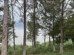 -金海湾滨江公园