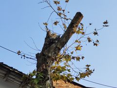 -零陵古城