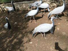 -哈尔滨北方森林动物园