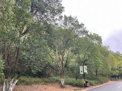 -南山风景名胜区