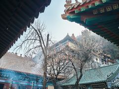 -千佛山风景名胜区