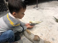 -太阳岛度假酒店