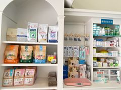 -爱贝特动物医院·猫口炎专科