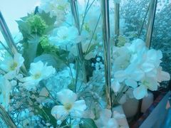 -双湖宴·湖北菜(文化路店)