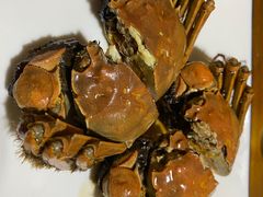 -呼吸森林·生态农庄农家乐私房菜