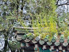 -潭柘寺景区