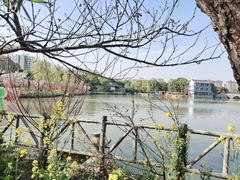 -南汇桃花村