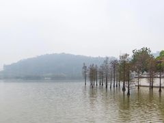 -顺峰山公园