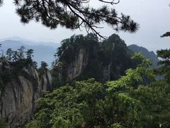 -内乡宝天曼生态旅游区