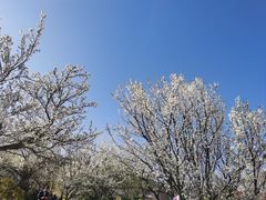 -名花谷生态庄园