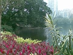 -晓港公园
