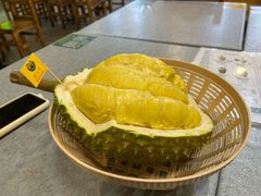 -都念榴莲·城市榴莲