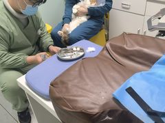 -达爱动物医院·犬猫分区·CT·复杂眼科(远洋山水分院)