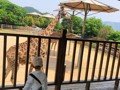 -青岛森林野生动物世界