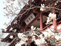 -趵突泉景区