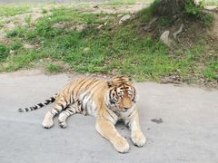 -西安秦岭野生动物园