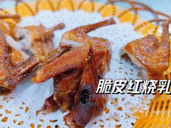 -渔鸽皇酒楼(鸿大广场店)