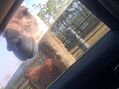 -南京金牛湖风景区