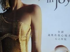 -DIOR迪奥(德基广场女装店)