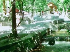 -陕西省红河谷森林公园