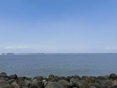 -上海吴淞炮台湾国家湿地公园