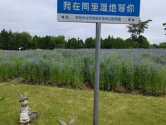 -同里国家湿地公园