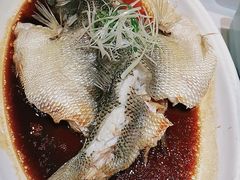 -紫光园·烤鸭·北京菜(劲松店)