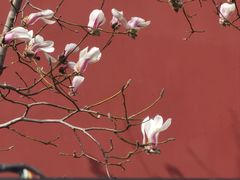 -东华门大街小区