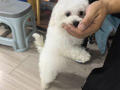 -韩湘水博园