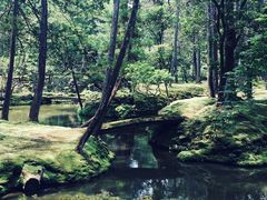 -西芳寺(苔寺)