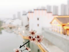 -洋湖国家湿地公园