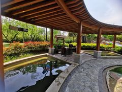 -思念果岭悦温泉