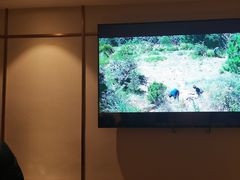 -良子足浴(湖滨店)